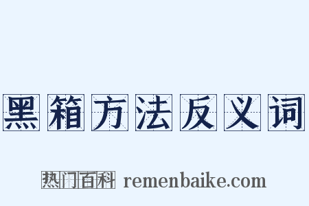 黑箱方法反义词是什么意思的图片